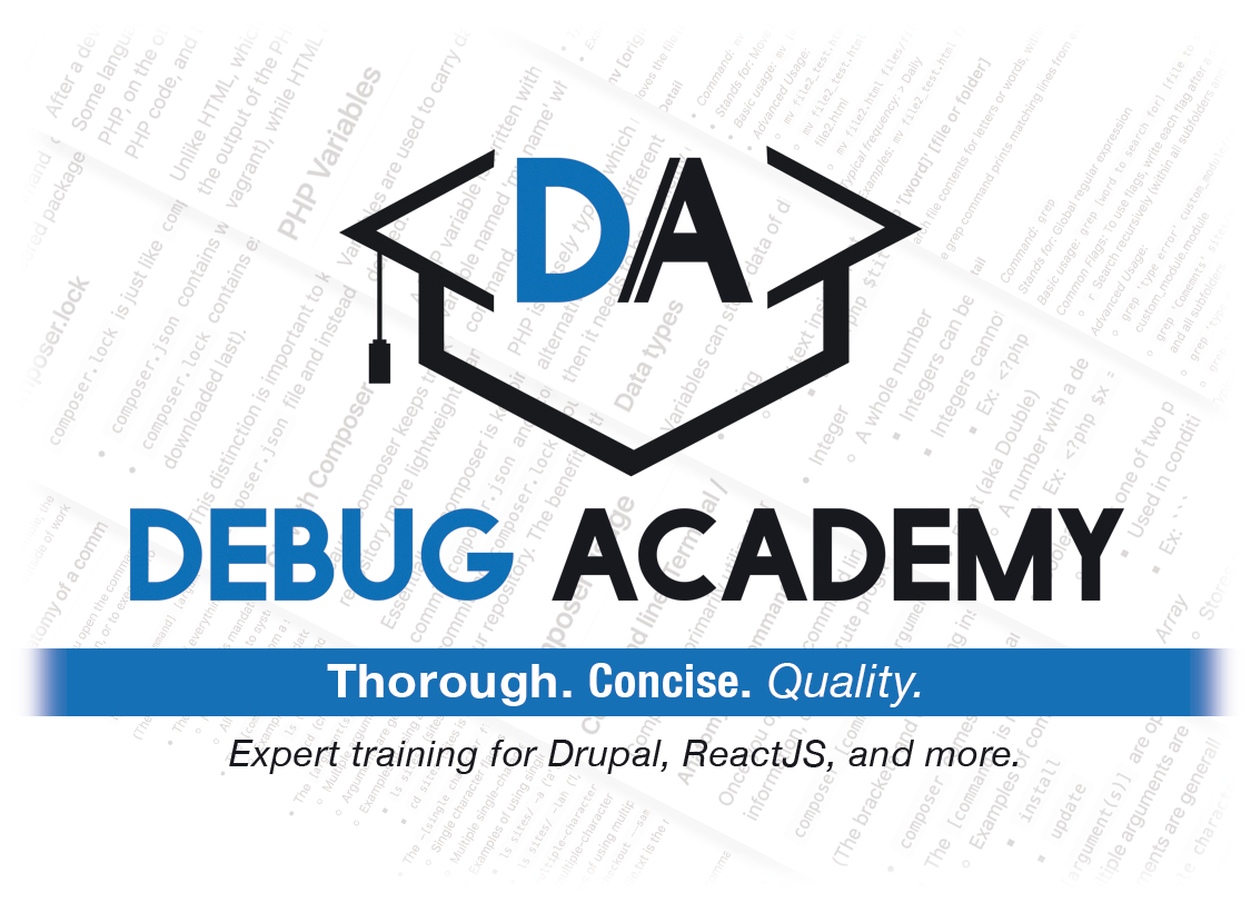 Debug Academy logo and quote "Thorough, quality concise"
